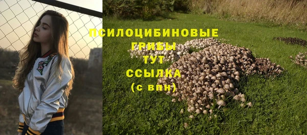 кристаллы Корсаков