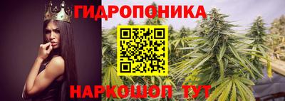 ГАЛЛЮЦИНОГЕННЫЕ ГРИБЫ Старая Купавна
