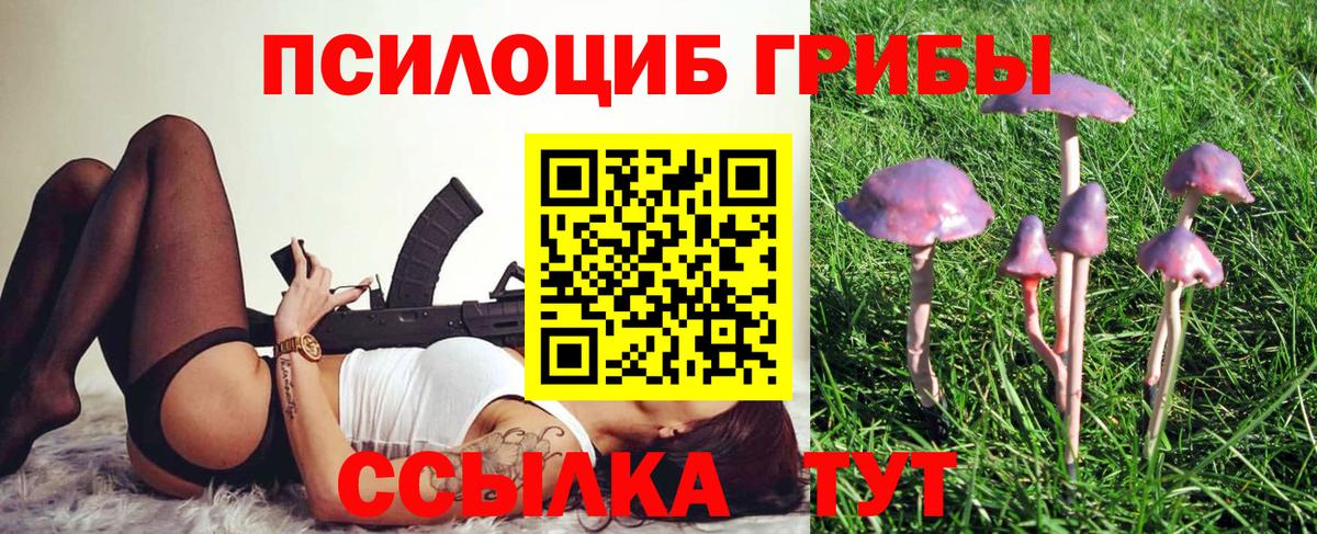 Обь  Псилоцибиновые грибы мицелий  Вход с VPN 