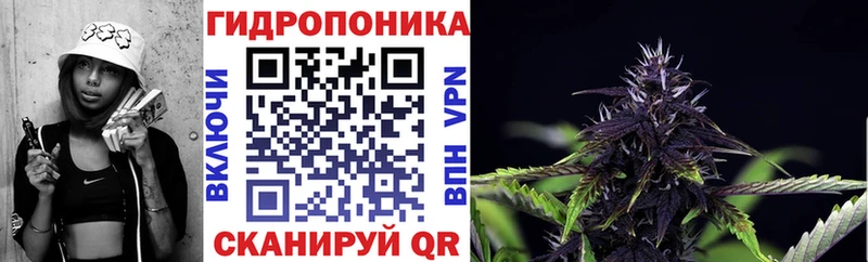 где можно купить   Обь  Канабис планчик 